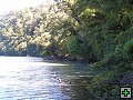 thn_NZ leden-unor 2006 263.jpg